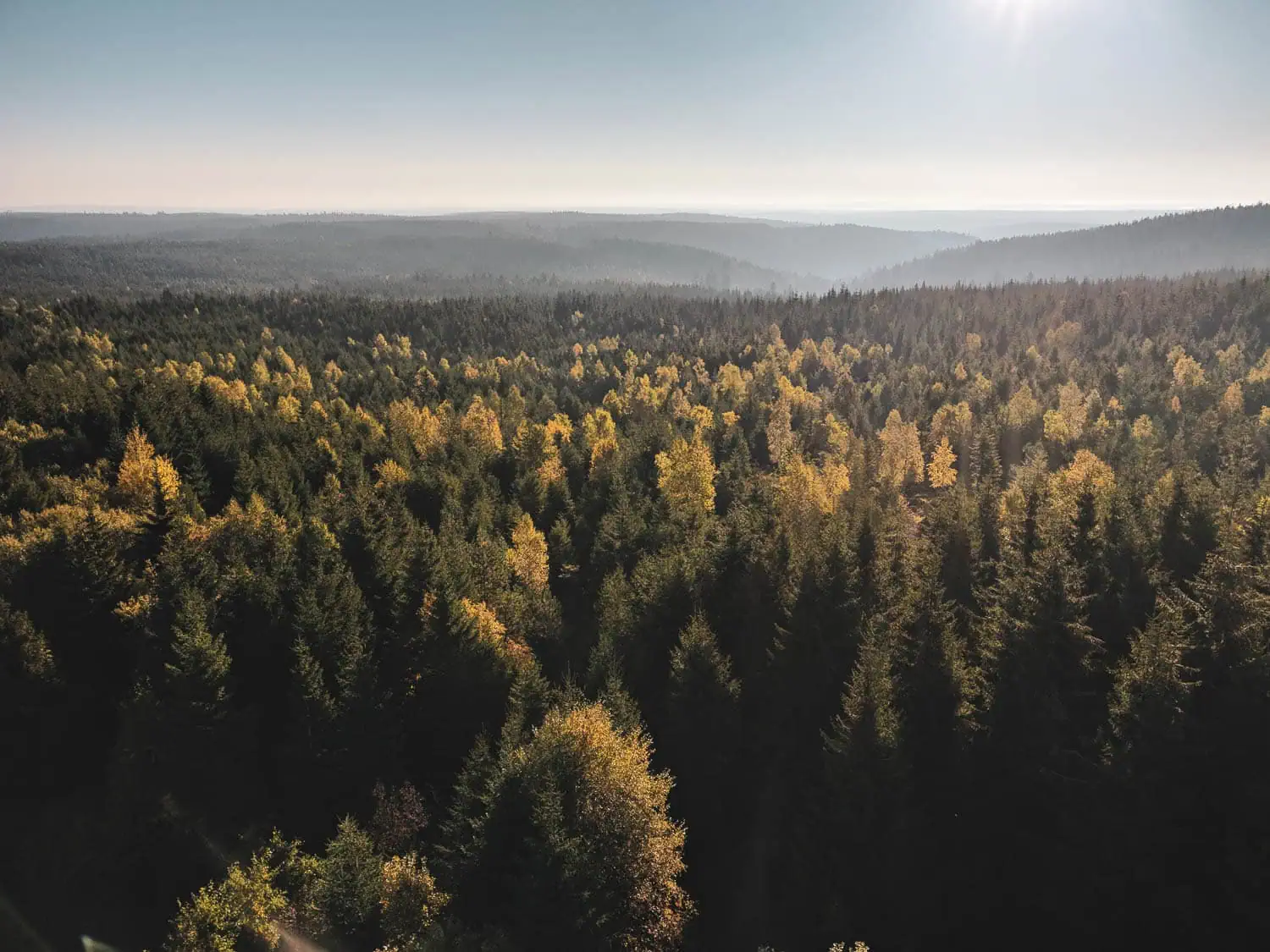 Westweg Ultraleicht Wandern Schwarzwald