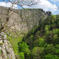Felswand über dem bewaldeten Bodetal am Harzer Hexenstieg.