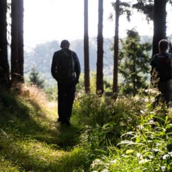 Zwei Wanderer im Gegenlicht auf einem Waldpfad am Rothaarsteig.