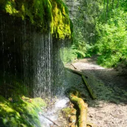 long-distance hiking trails Europe transverse trail Freiburg Lake Constance Wutach Gorge