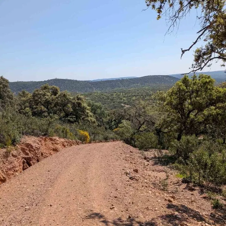 WeitLäufer Kundenfoto