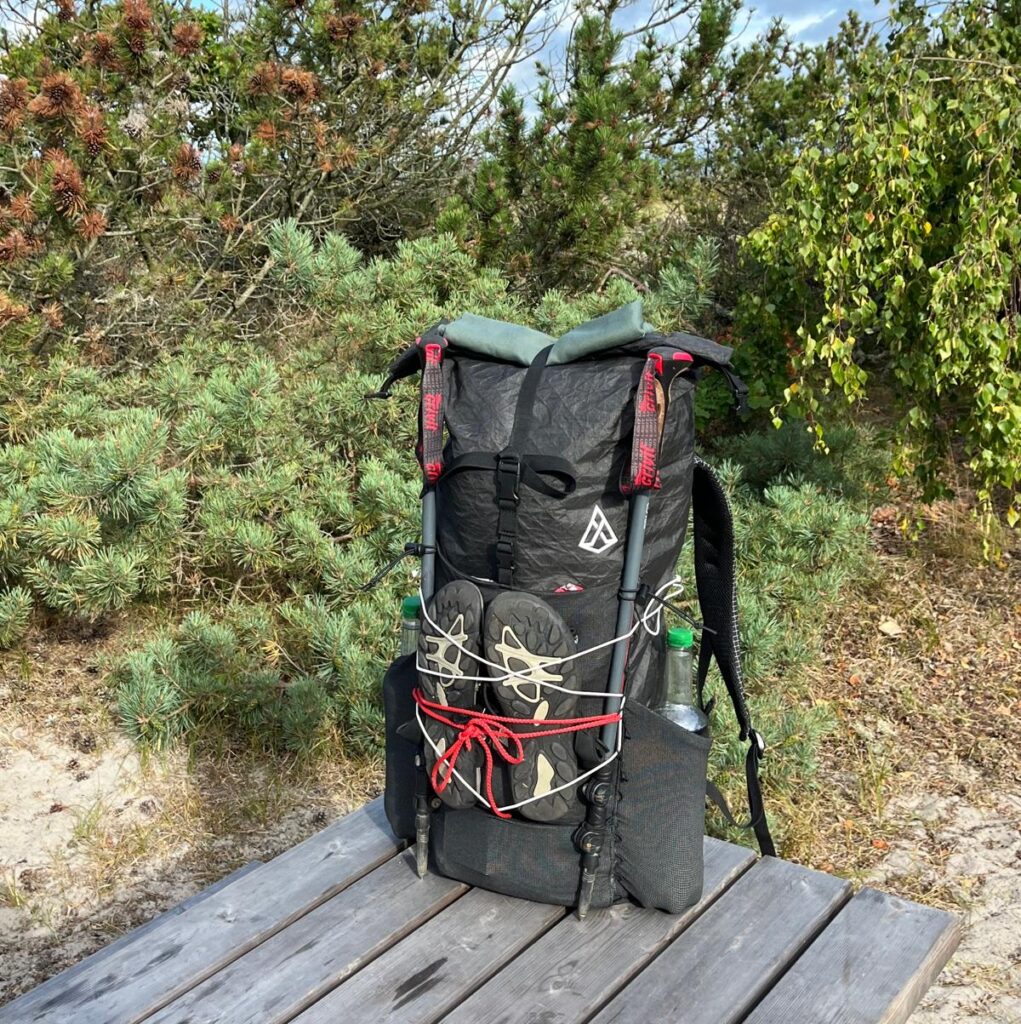 Utes Agilist mit Trekkingstöcken auf einem Holzsteg zwischen Kiefern